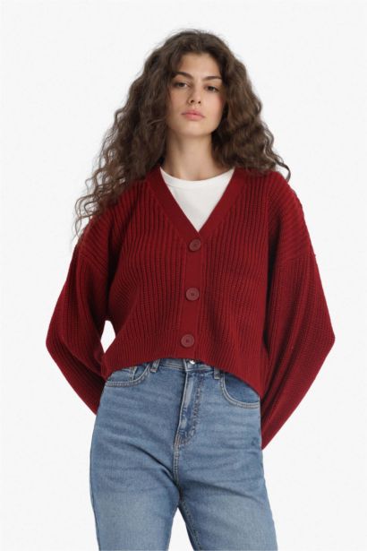 Regular Fit V-Neck Knit Cardigan