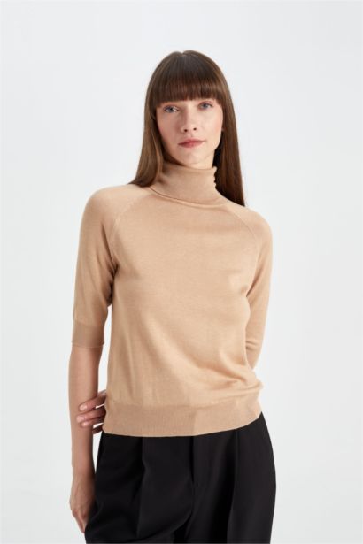 Regular Fit Turtleneck Basic Pulover