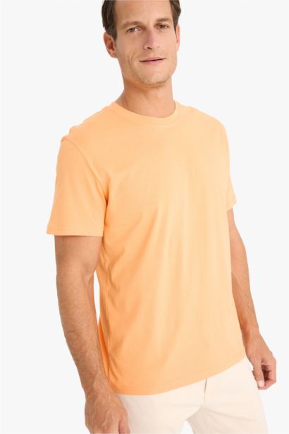 New Regular Fit Crew Neck Basic T-Shirt