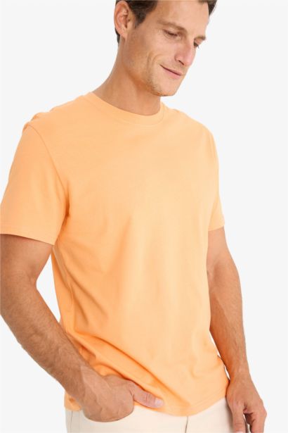 New Regular Fit Crew Neck Basic T-Shirt