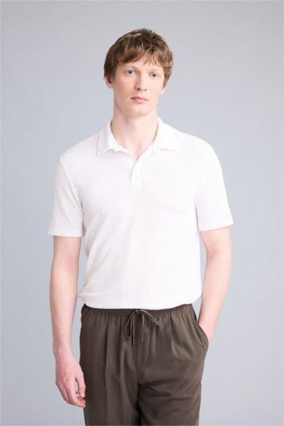 Slim Fit Dar Kesim Polo Yaka Pamuklu Kısa Kollu Tişört