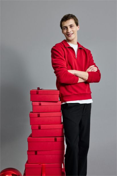 Regular Fit Half Zip Stand Collar Basic Sweatshirt