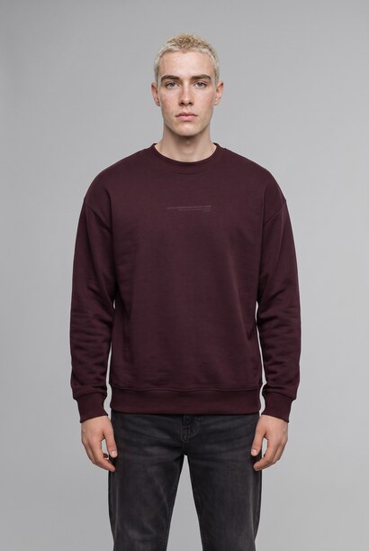 Boxy Fit Printed Crew Neck Sweatshirt
