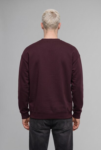 Boxy Fit Printed Crew Neck Sweatshirt