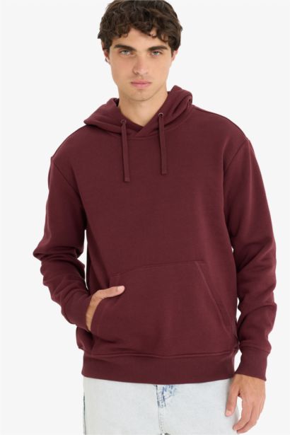 Regular Fit Long Sleeve Hoodie