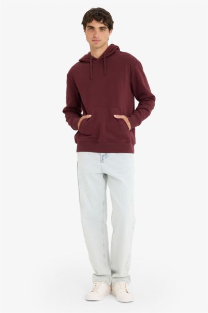 Regular Fit Long Sleeve Hoodie