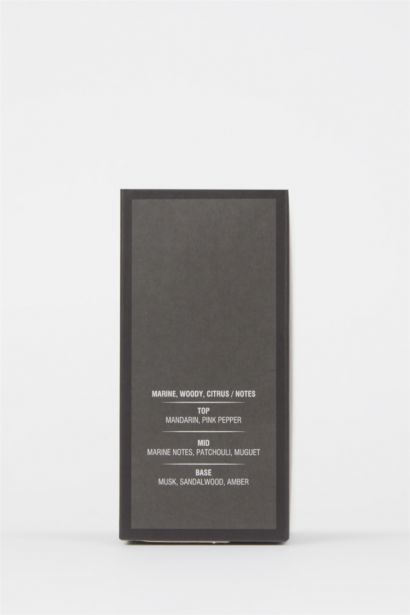 Parfum Homme Silver Aromatic 100 ml