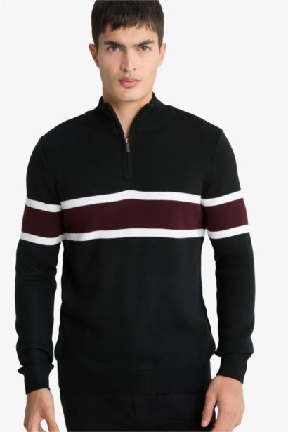 Standard Fit Turtleneck Knitwear Pullover