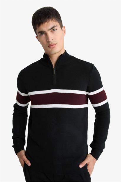 Standard Fit Turtleneck Knitwear Pullover