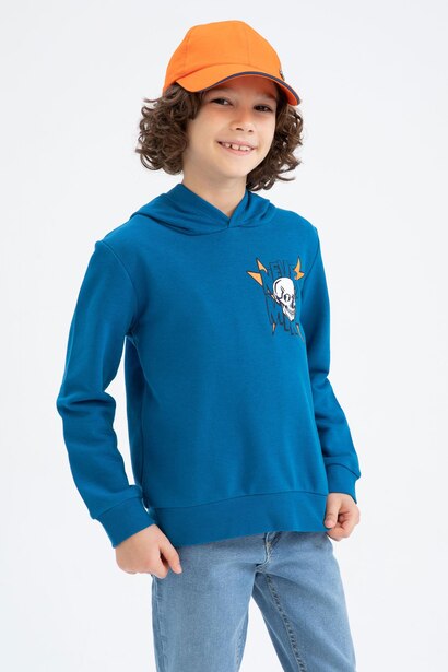 Boys Regular Fit Hoodie Sweatshirt