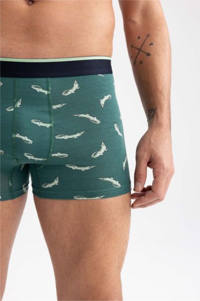 بوكسر قصة عادية