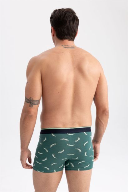 بوكسر قصة عادية