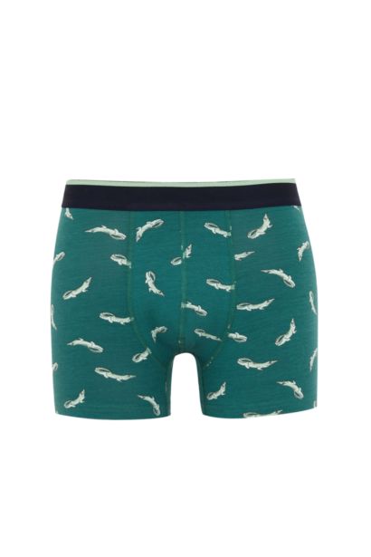 بوكسر قصة عادية