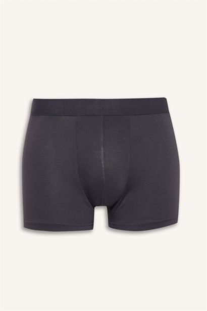 Regular Fıt Modal Boxer