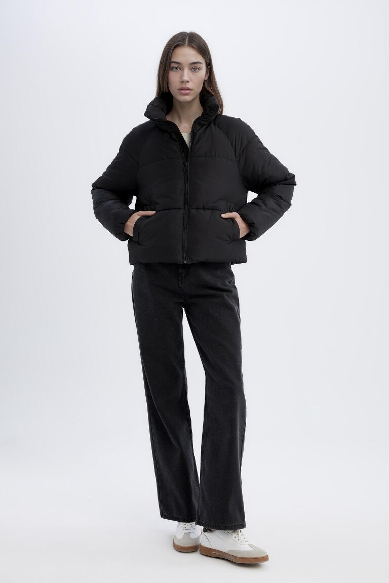 Waterproof Regular Fit Hooded Puffer Jacket