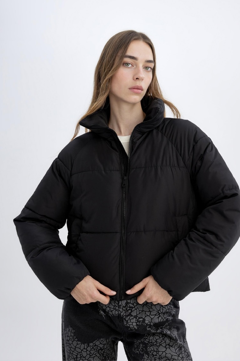 Waterproof Regular Fit Hooded Puffer Jacket