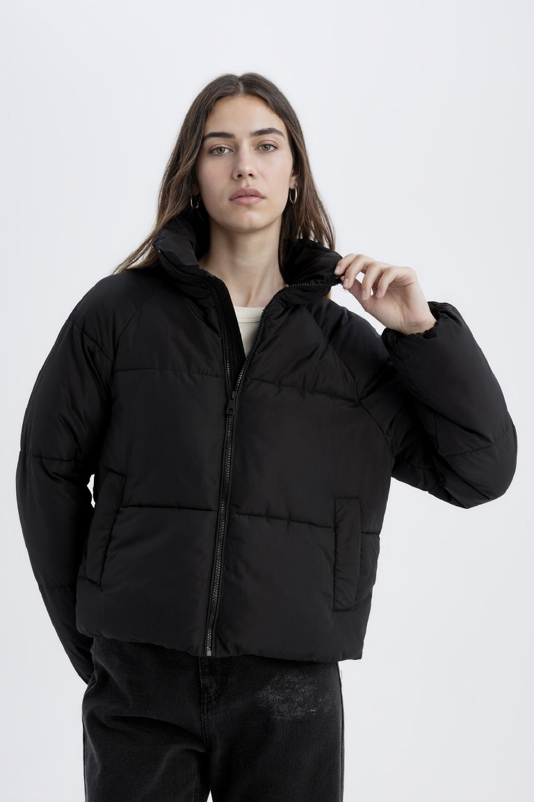 Waterproof Regular Fit Hooded Puffer Jacket