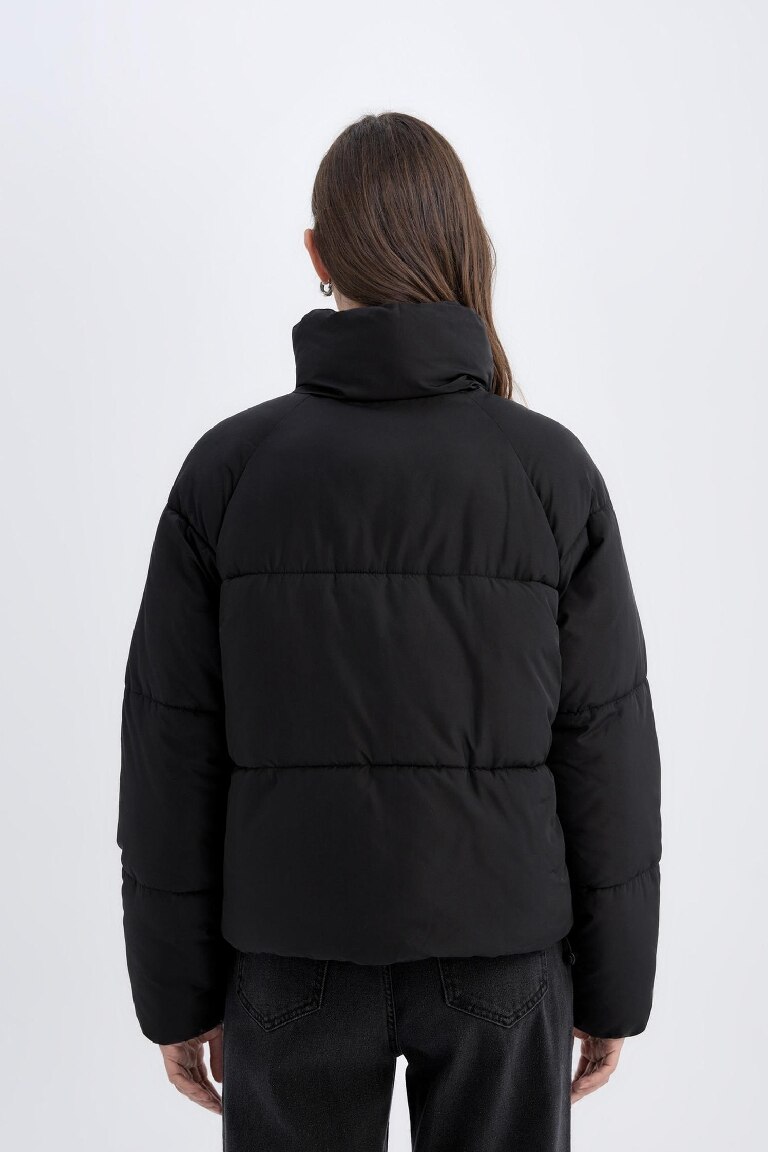 Waterproof Regular Fit Hooded Puffer Jacket
