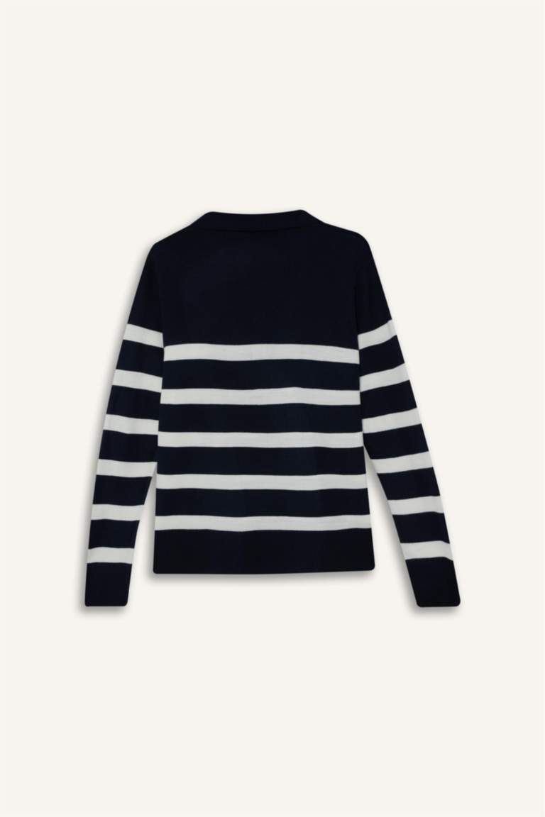 Pull col polo rayé Coupe régulière