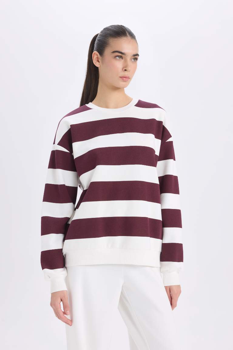 Relax Fit Striped Long Sleeve Sweatshirt