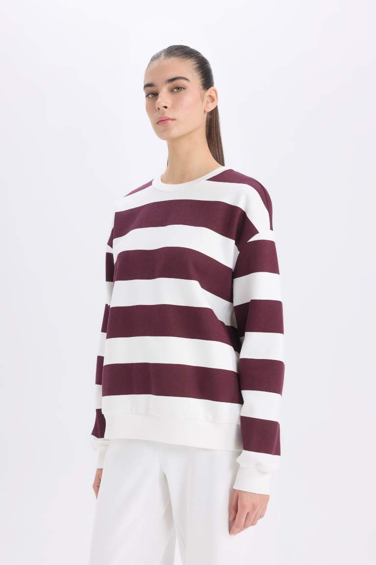 Relax Fit Striped Long Sleeve Sweatshirt