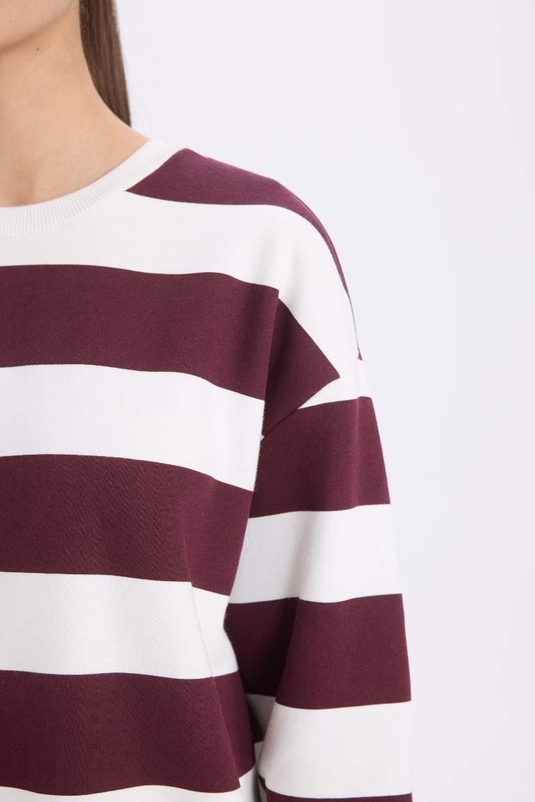 Relax Fit Striped Long Sleeve Sweatshirt