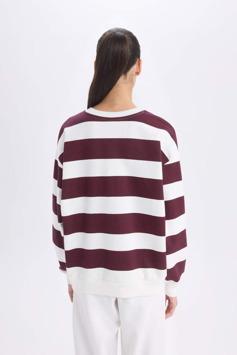 Relax Fit Striped Long Sleeve Sweatshirt