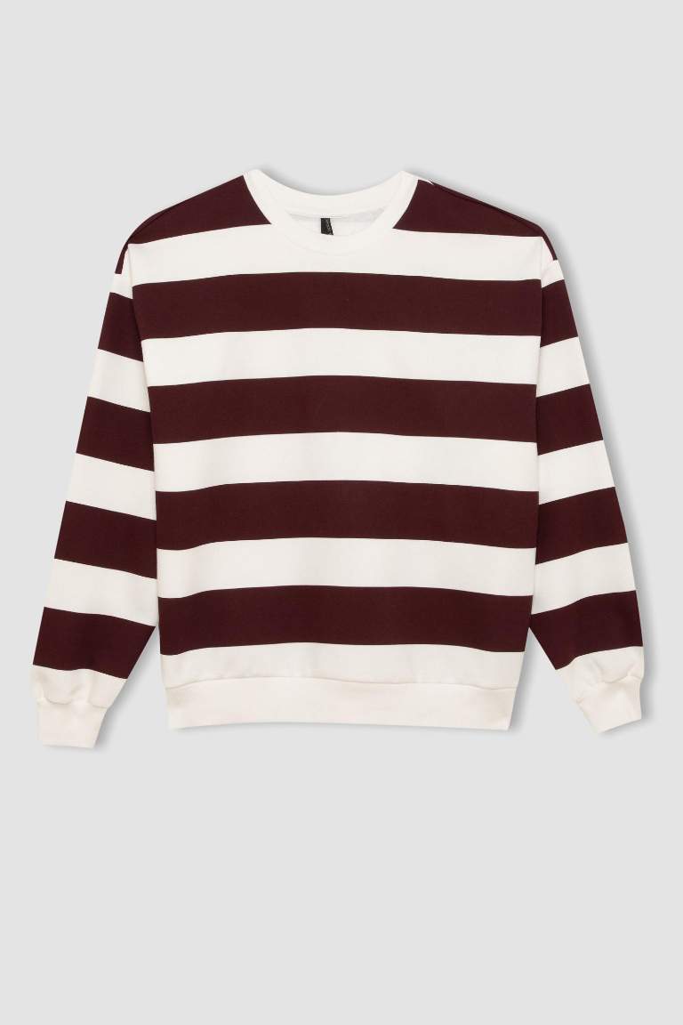 Relax Fit Striped Long Sleeve Sweatshirt