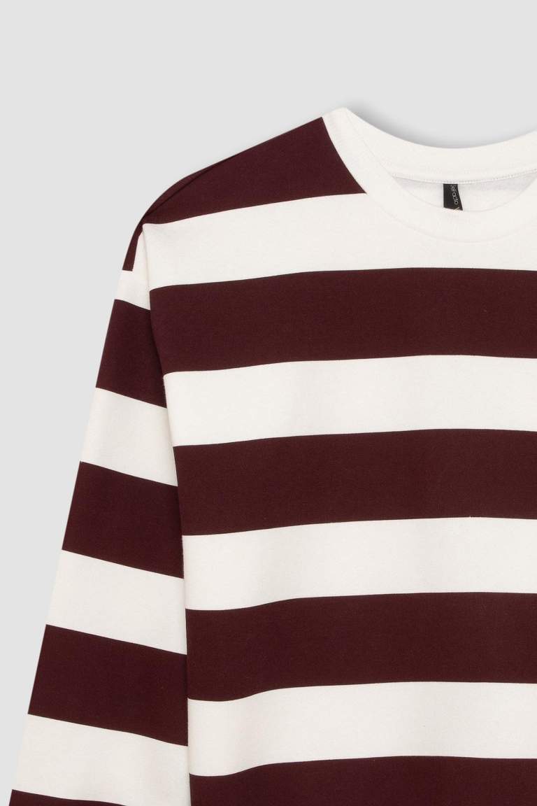 Relax Fit Striped Long Sleeve Sweatshirt