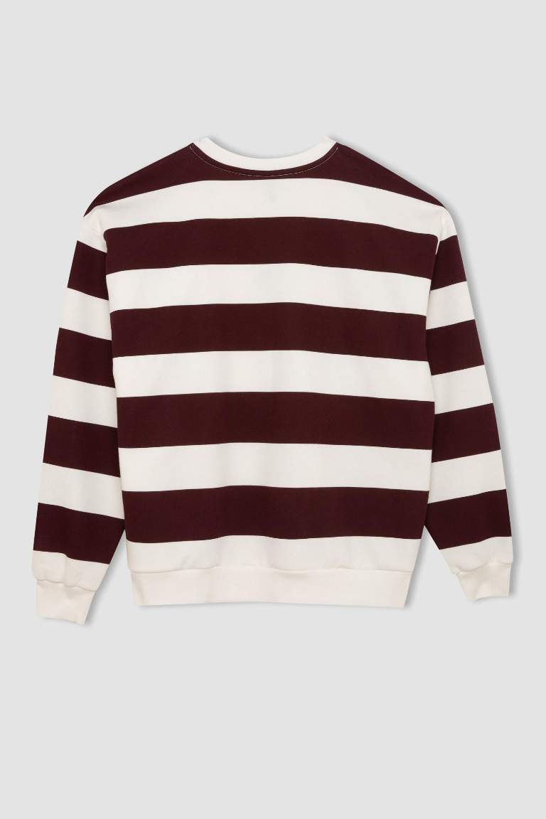 Relax Fit Striped Long Sleeve Sweatshirt