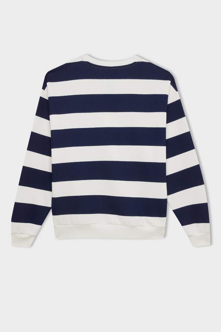 Relax Fit Crew Neck Striped Thick Casual Sweatshirt