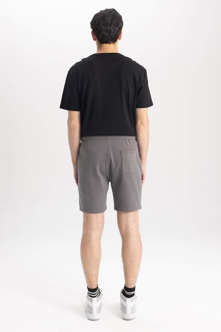 Regular Fit Shorts