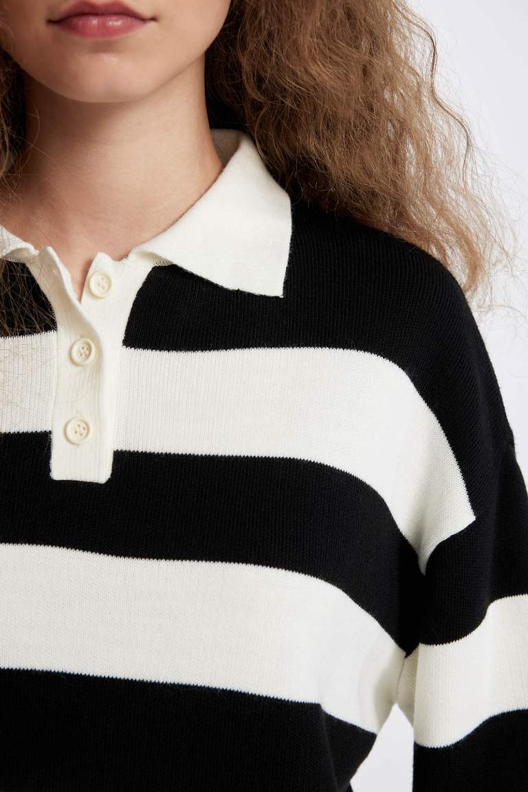 Regular Fit Buttoned Striped Polo Collar Knitwear Pullover