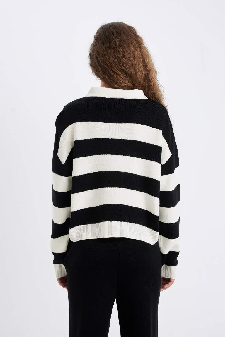 Regular Fit Buttoned Striped Polo Collar Knitwear Pullover