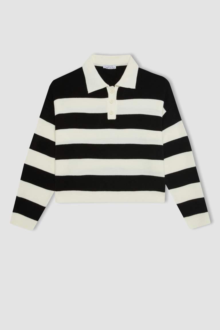 Regular Fit Buttoned Striped Polo Collar Knitwear Pullover