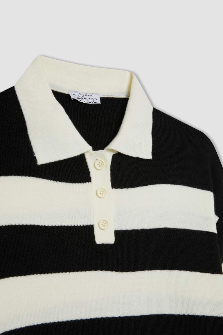 Regular Fit Buttoned Striped Polo Collar Knitwear Pullover