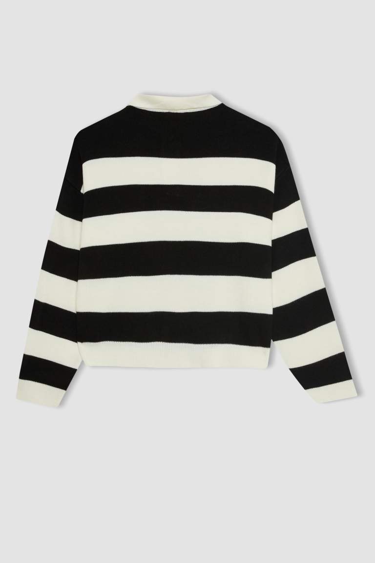 Regular Fit Buttoned Striped Polo Collar Knitwear Pullover