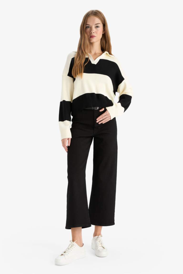 Regular Fit Polo Collar Pullover