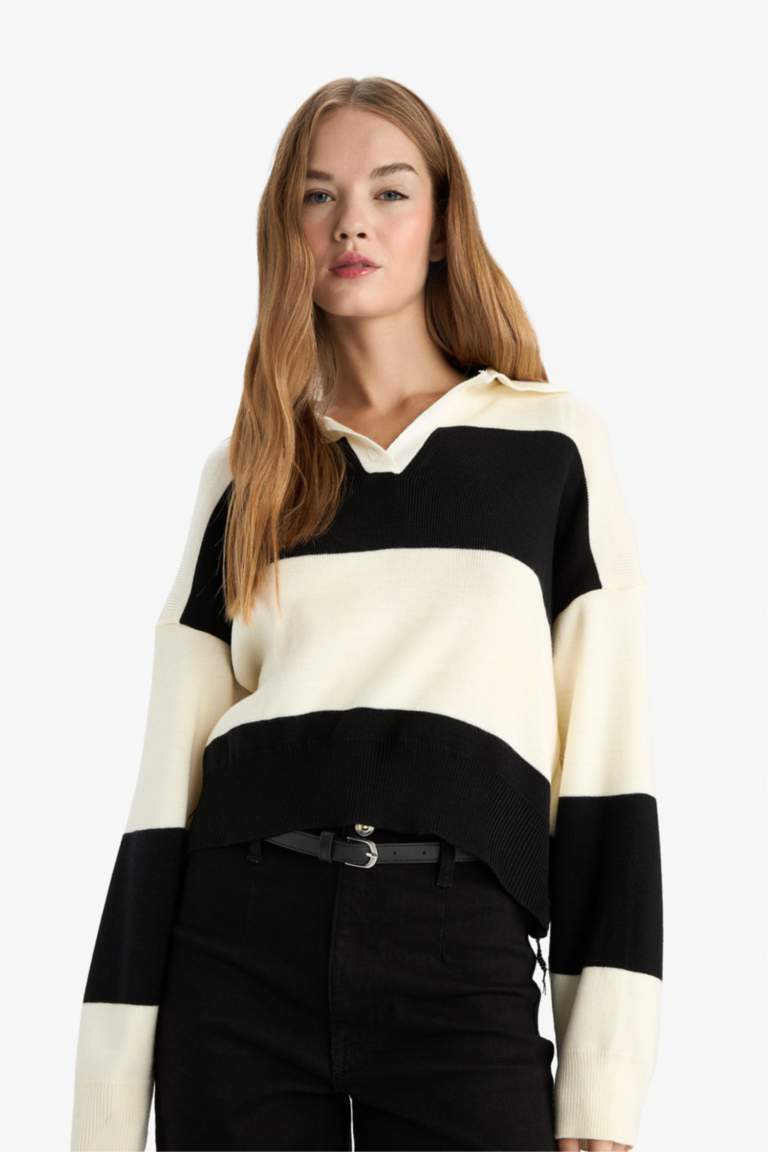 Regular Fit Polo Collar Pullover