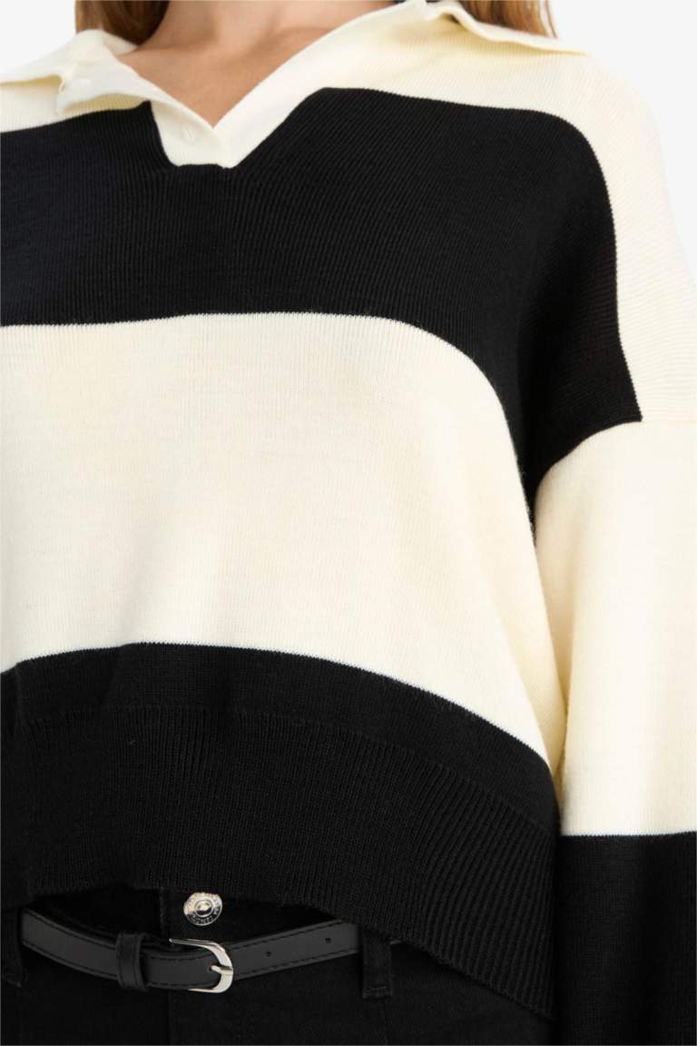 Regular Fit Polo Collar Pullover