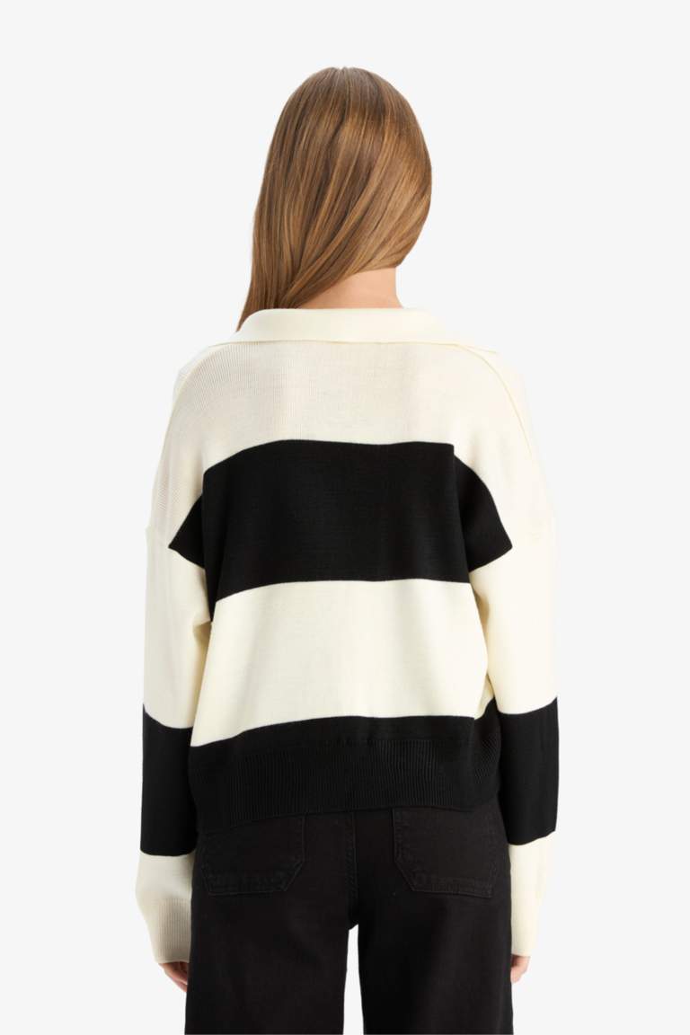 Regular Fit Polo Collar Pullover