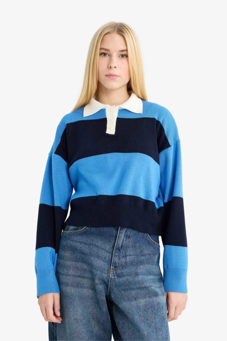 Regular Fit Polo Collar Pullover