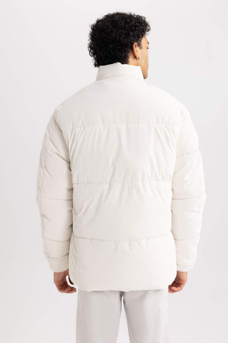Regular Fit Dik Yaka Astarlı Fermuarlı Cepli Şişme Mont