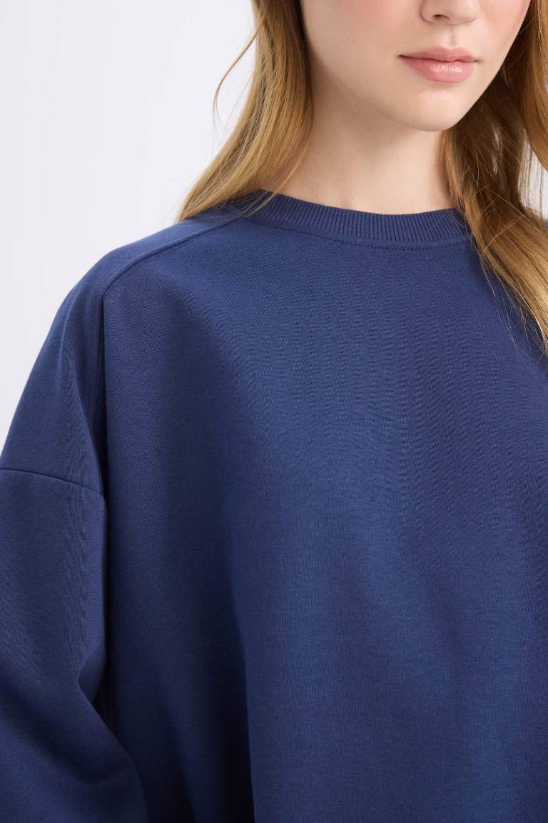 Oversize Fit Crew Neck Thick Sweatshirt