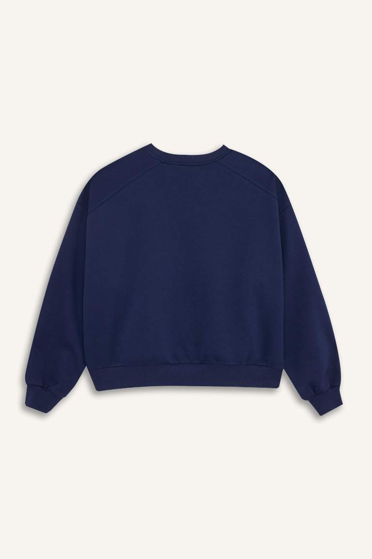 Oversize Fit Crew Neck Thick Sweatshirt