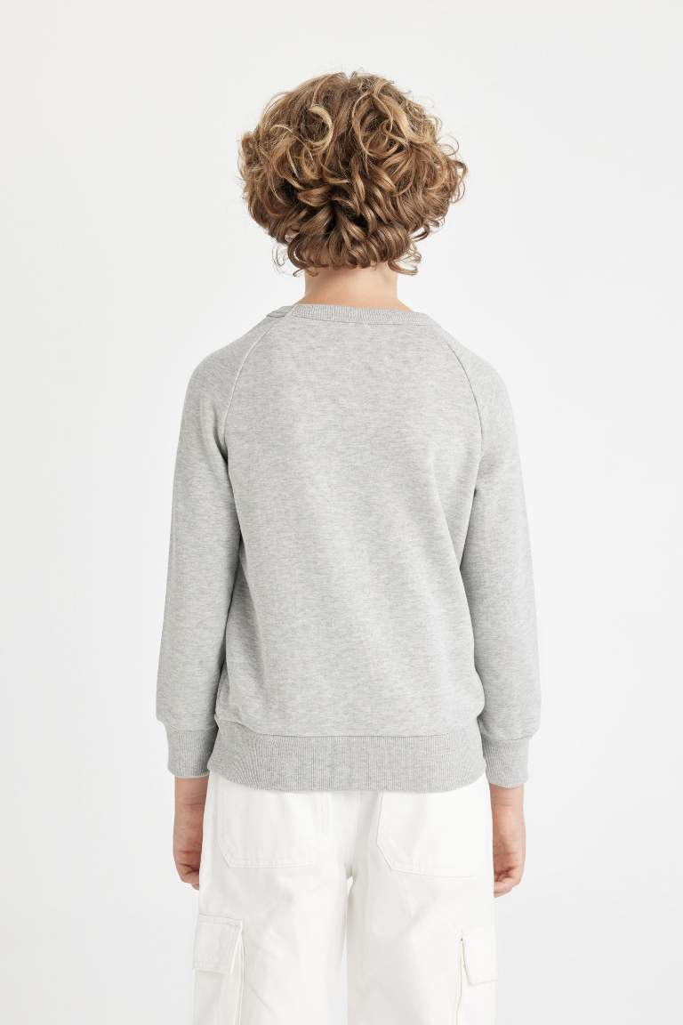 Boy Boy Crew Neck Gray School Sweatshirt