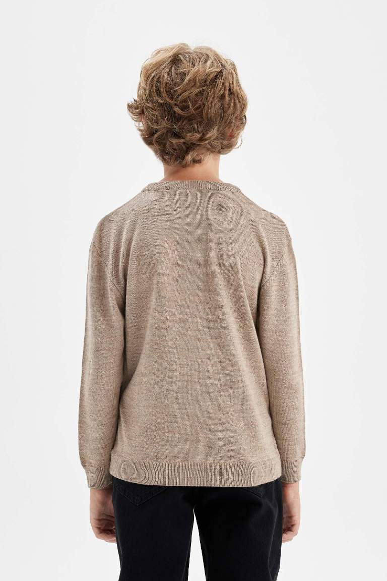 Boy Beige Crew Neck Knitted Basic Pullover