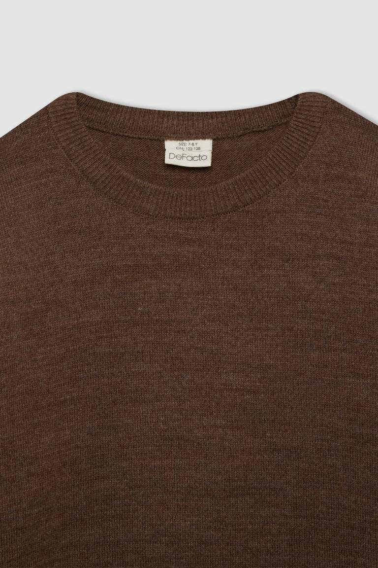 Boy Brown Crew Neck Basic Knitted Pullover