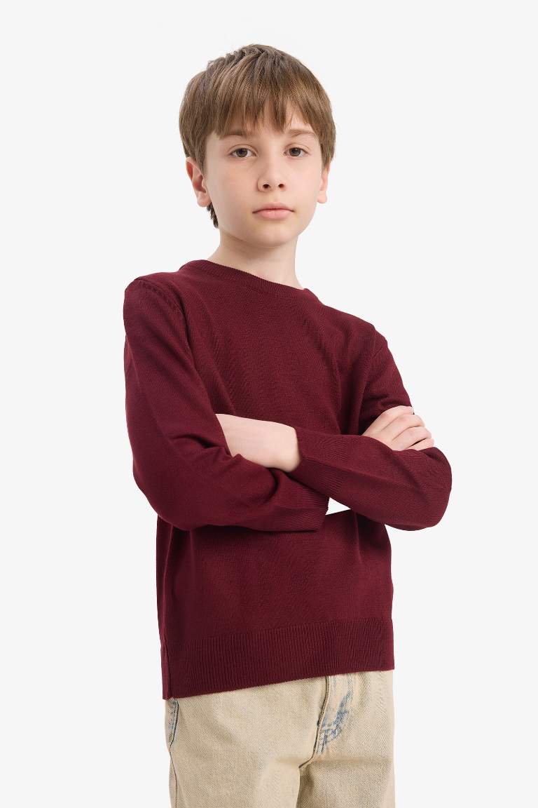 Boy Regular Fit Crew Neck Pullover