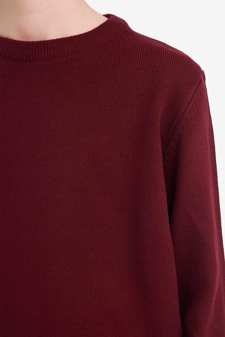 Boy Regular Fit Crew Neck Pullover